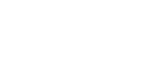 LOGO NEWSTRIDE HITAM 500px (2)